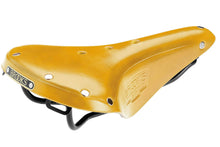 Load image into Gallery viewer, b17-yellow-WEB.jpg