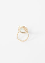 Load image into Gallery viewer, 2015-05-01_Accessories_03_23488_21506.jpg
