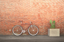 Load image into Gallery viewer, KAR_20141008-7395_3357c77b-68f3-4e99-85f2-0d7feedf6396.jpg

